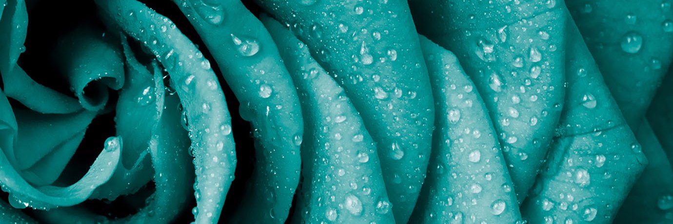 secerlemabg's profile banner image