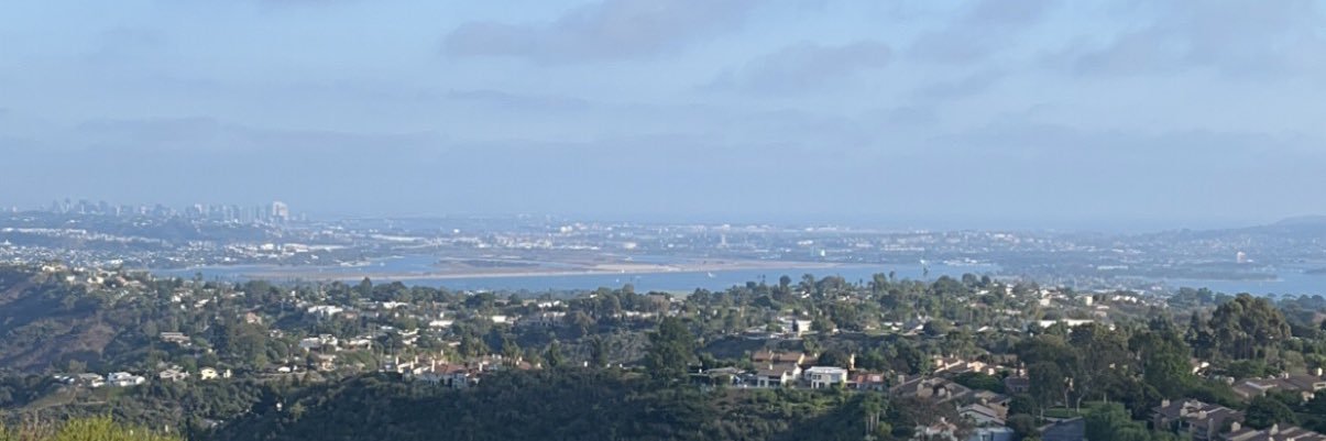 Taryn Campbell banner