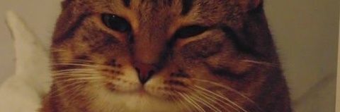 Chrma_'s profile banner image