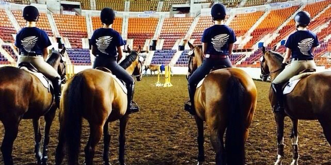 CentenaryEquine's profile banner image
