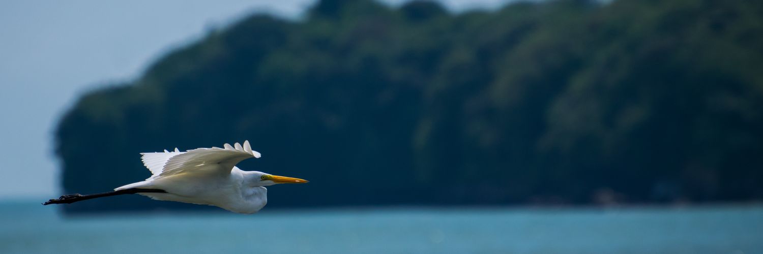 efrabotero's profile banner image