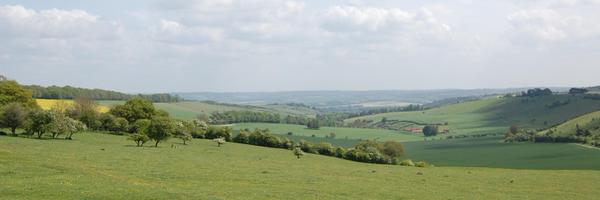 nkind88 Profile Banner