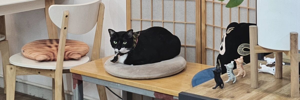 ryoiji's profile banner image