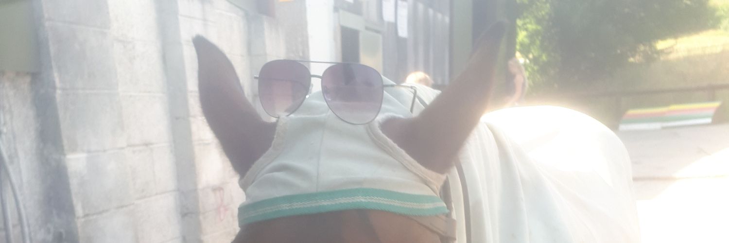 Lawremoo's profile banner image