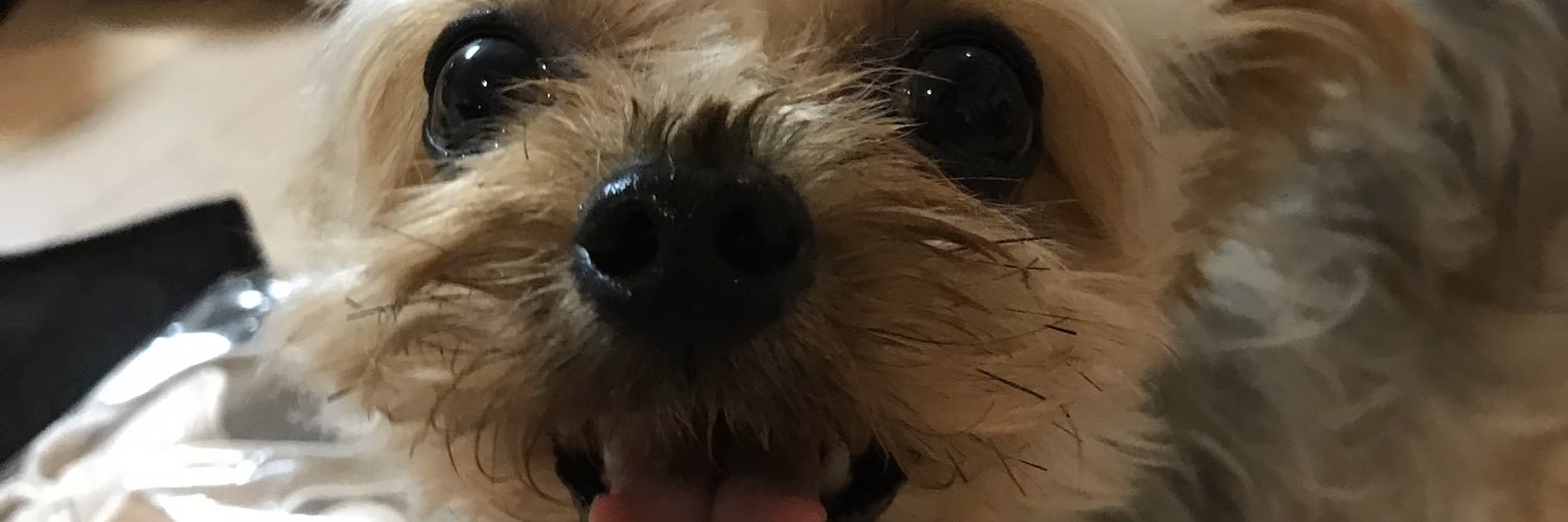 mong_bean_'s profile banner image