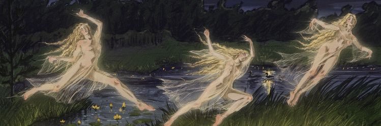 monirodcal's profile banner image