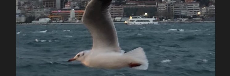esraken's profile banner image
