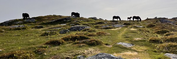 Dartmoor National Park Profile Banner