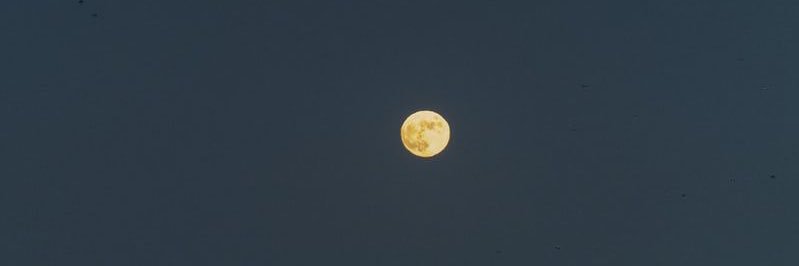 Willborgess11's profile banner image