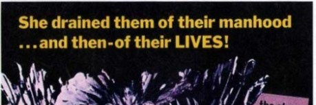 Robyn Pennacchia's banner
