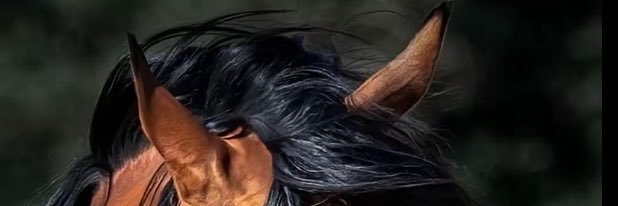 il92_e's profile banner image