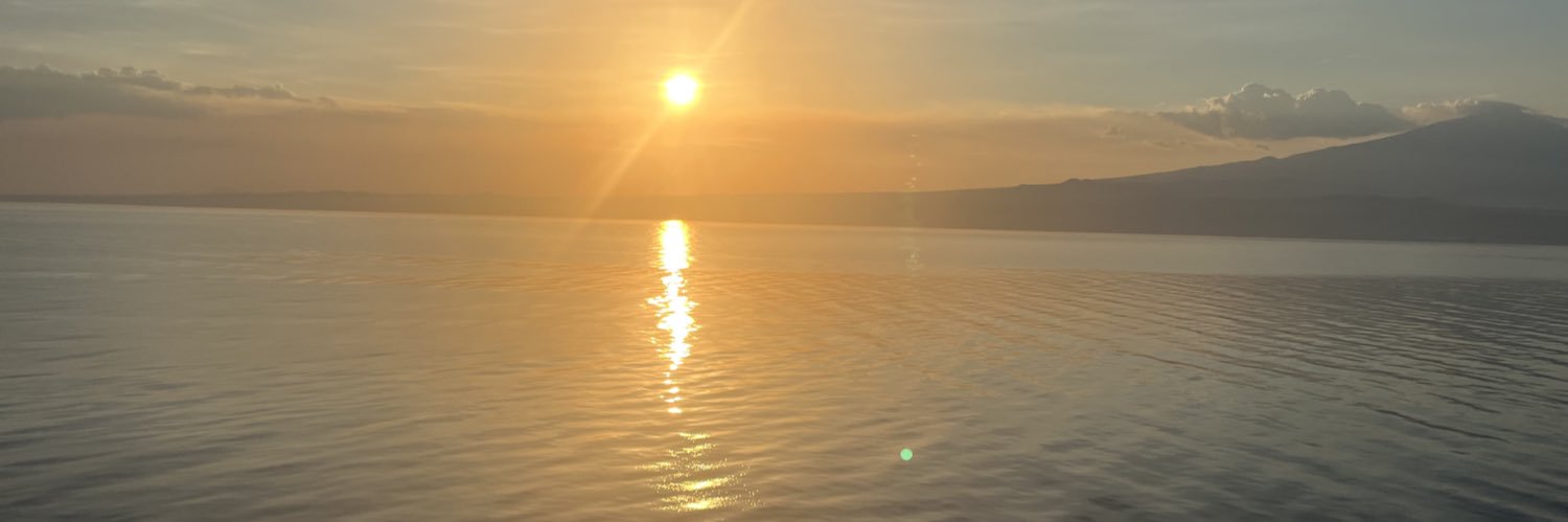 metsrob24's profile banner image