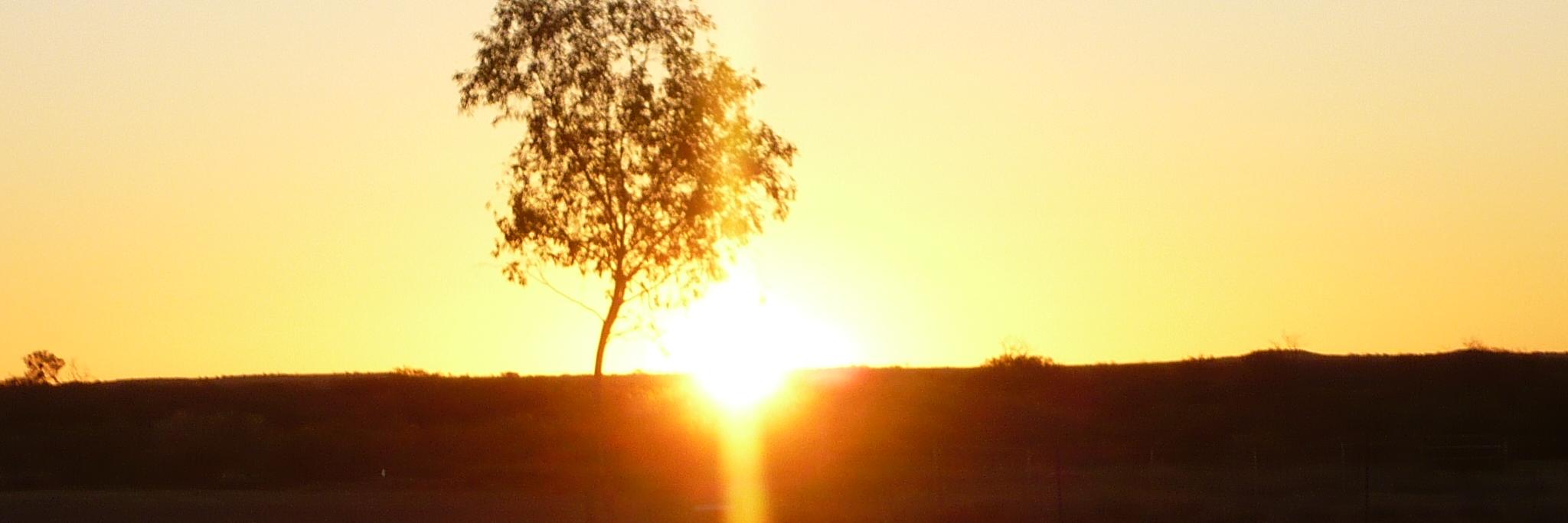 reidcontent's profile banner image