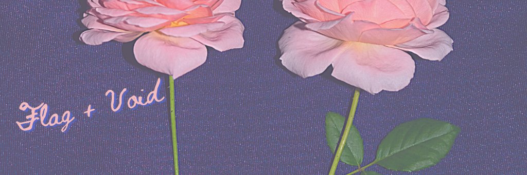 FlagVoid's profile banner image