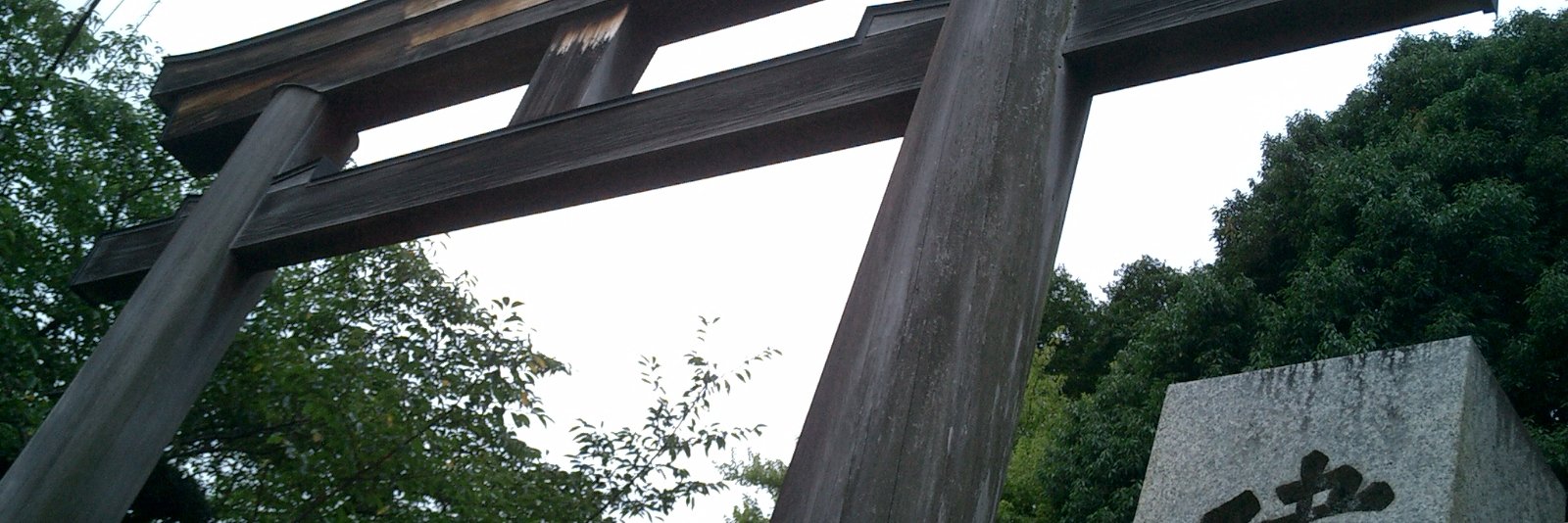 ruitoako's profile banner image