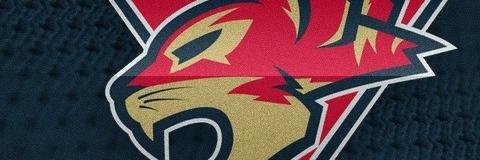IceHLSteelcats's profile banner image