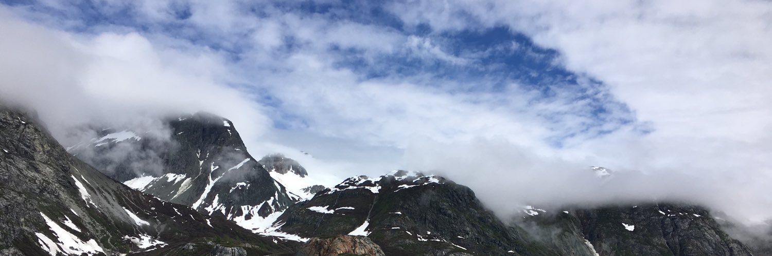 MsArredondo's profile banner image