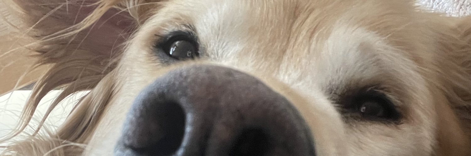 noraeckler's profile banner image