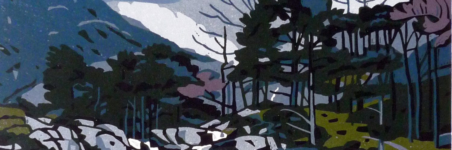 Ann Lewis VPRCA banner