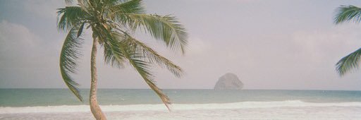 perrinebzn's profile banner image