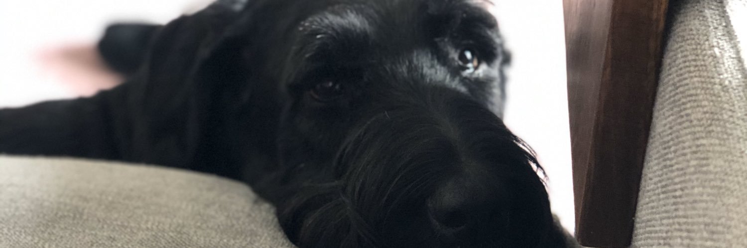 lharvey7's profile banner image