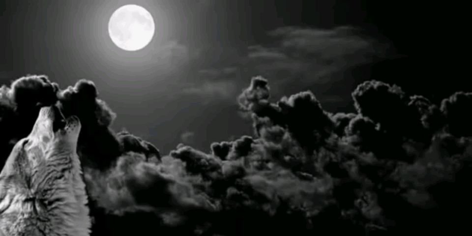 camaxincg's profile banner image