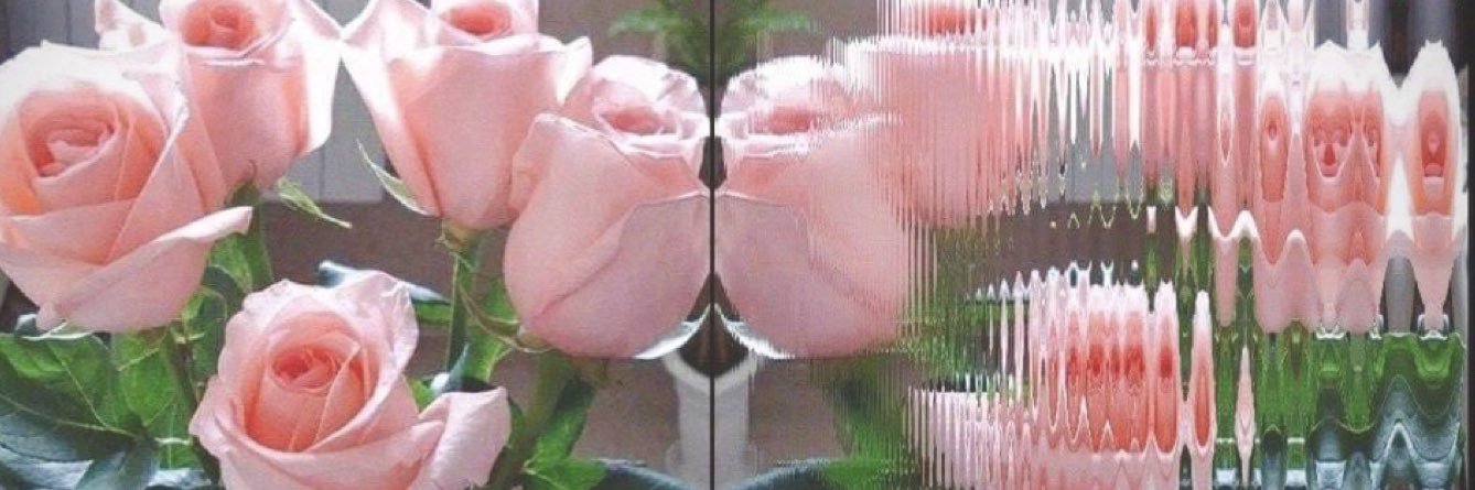 🌸チャコ🌸's banner
