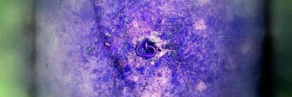 💋rensuke💋🍷 banner