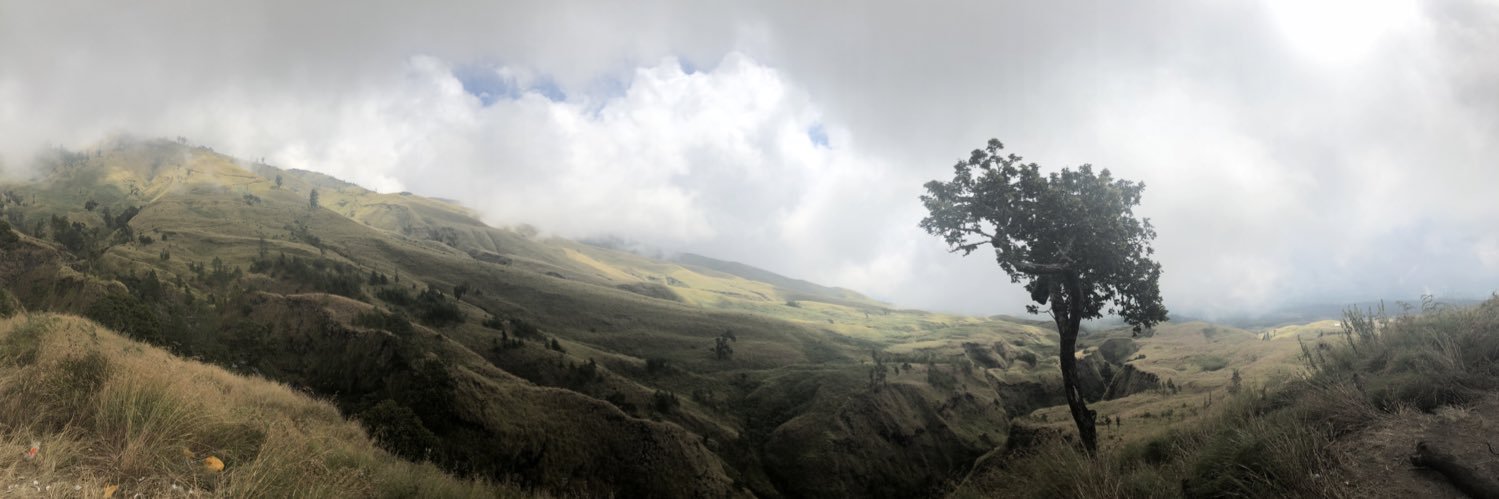 RickyMorant's profile banner image