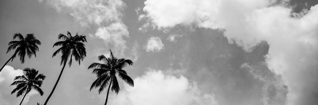 SauloPacheco's profile banner image