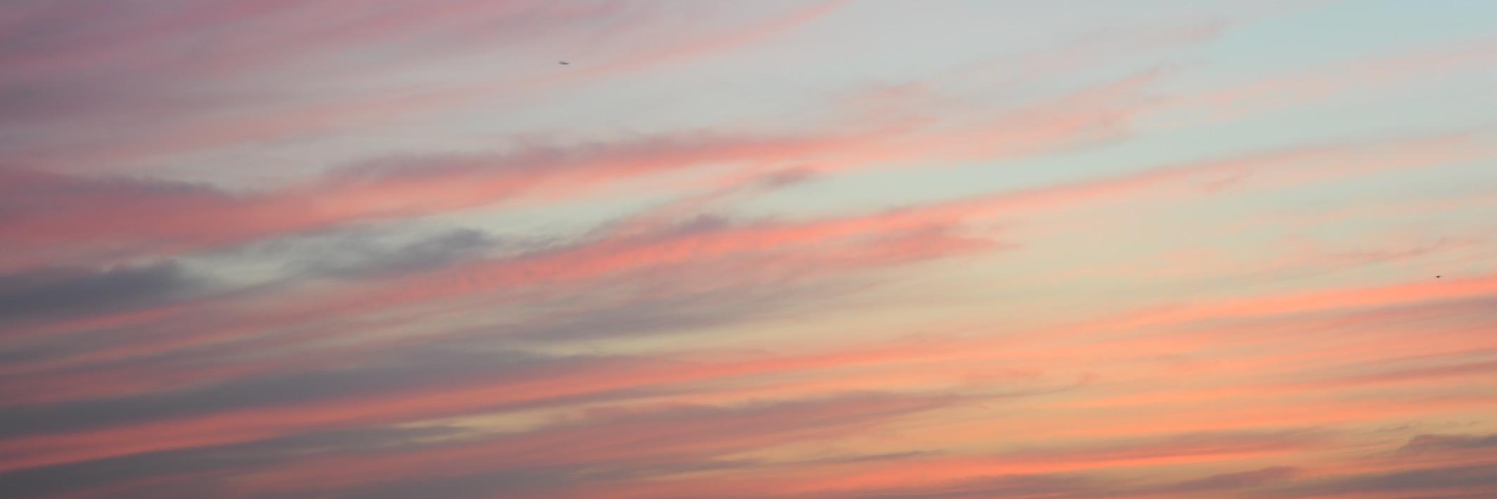 オオシマジュンイチ banner