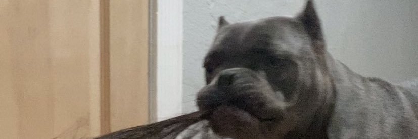 aknightp's profile banner image