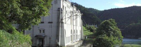 Y_whales Profile Banner