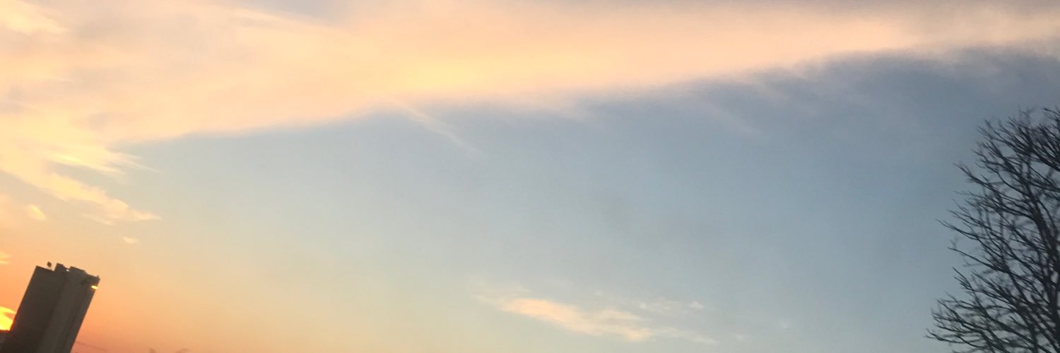 ZeynepDentall's profile banner image