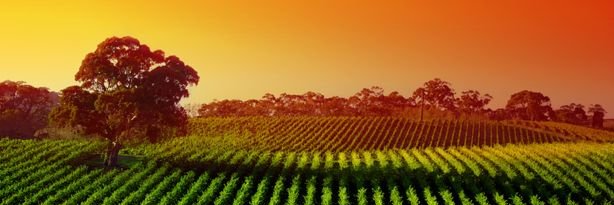 FarmhouseComm's profile banner image