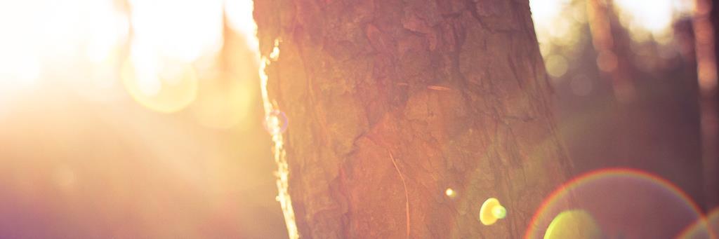 ng2100's profile banner image