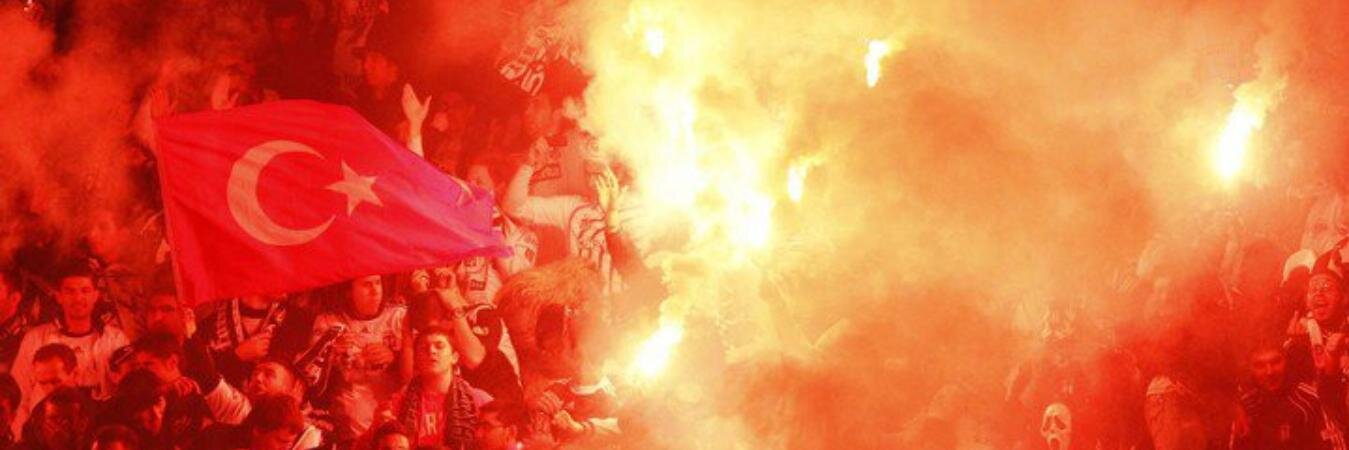 alydn's profile banner image