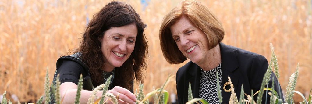 Wheat_ResearchCentre banner