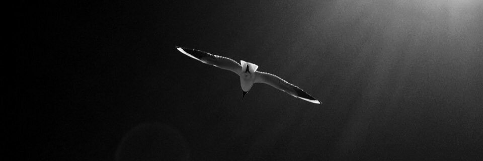 tchaykovskaya's profile banner image