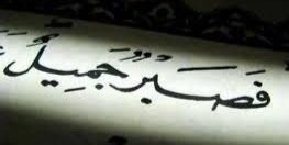 ftoo_1433's profile banner image