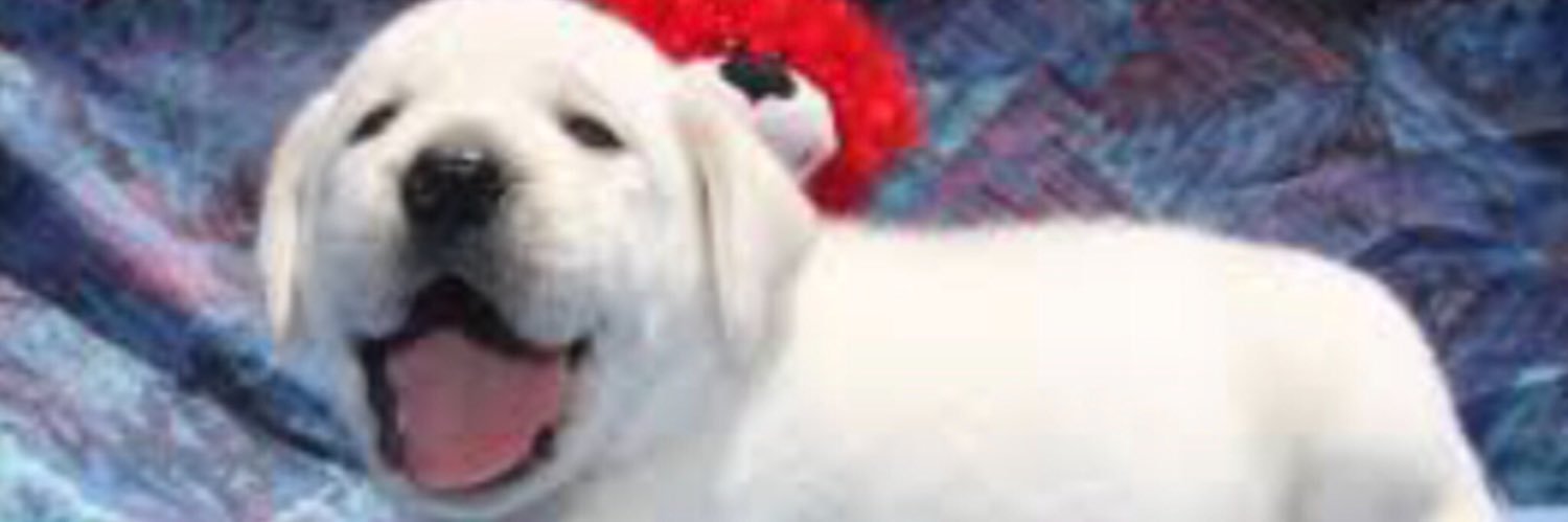 Worldwide banner