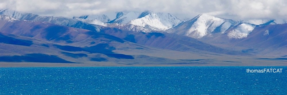 Soonthon Prueksapipat banner