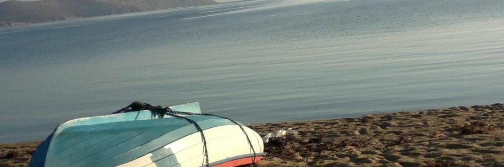 Başar Münir banner