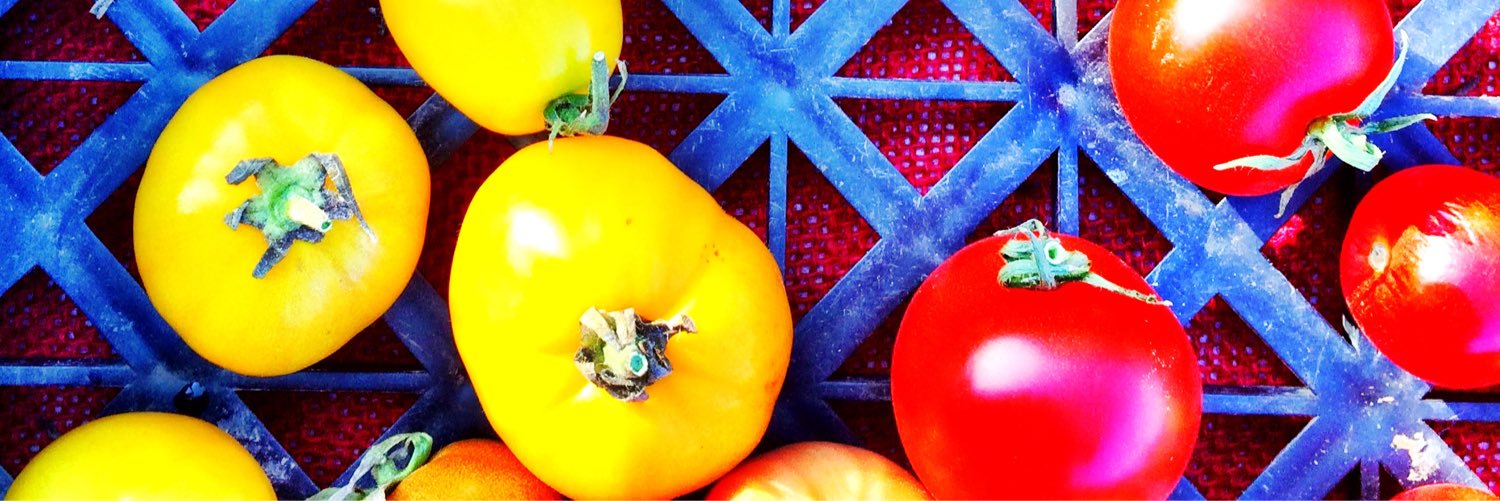 David Leftwich banner