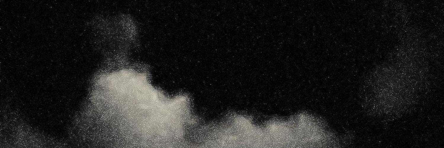 Pavenes's profile banner image