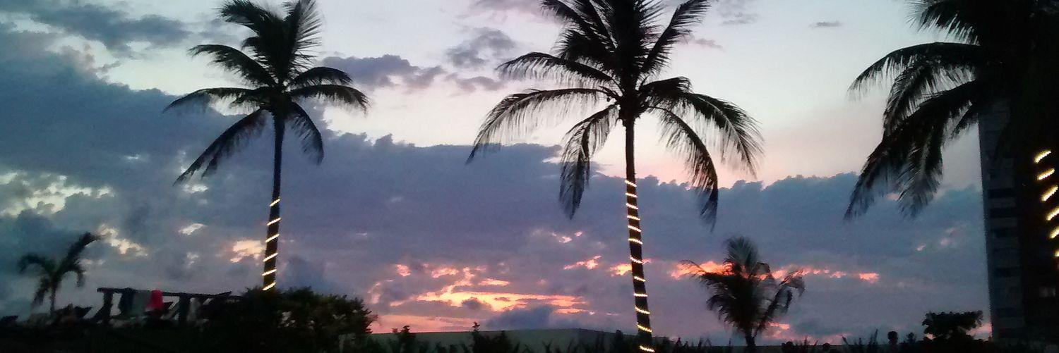 anisparedes's profile banner image