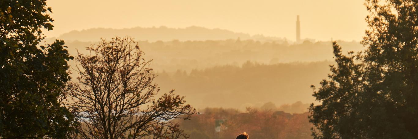 sannahpate's profile banner image
