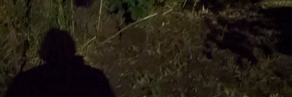 PencilMoose Profile Banner