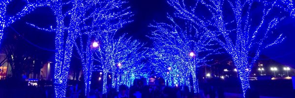 WS_Photo Profile Banner