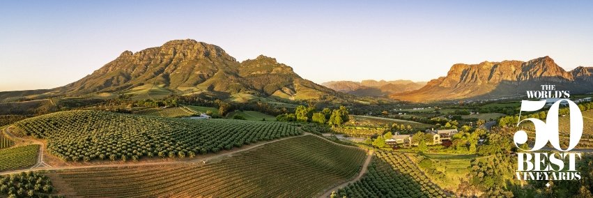 Tokara Wine & Olive Farm banner